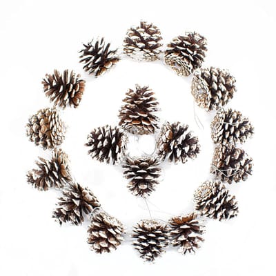 Dailygoods- Dennenappels Decoratie 18-delig - Besneeuwd - Kerst Ornamenten - Kerstboomversieringen - Natuurlijk - Feestelijke Flair - Kerstdecoratie