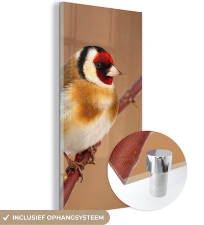 MuchoWow® Glasschilderij 20x40 cm - Schilderij acrylglas - Putter - Vogel - Dieren - Foto op glas - Schilderijen