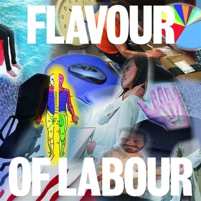Public Body - Flavour Of Labour (LP)