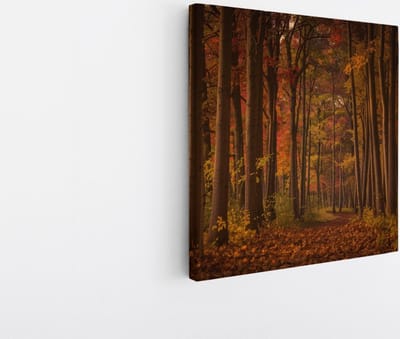 Saammp Canvas Schilderij - Herfstbos - Pad met zonsondergang - Landschap - Natuur - 20x20 - Foto op canvas - Wanddecoratie - Muurdecoratie Woonkamer - Slaapkamer decoratie - Canvas Print