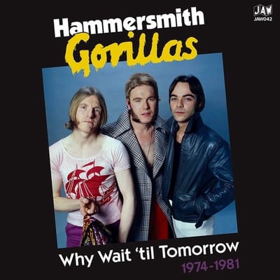 Hammersmith Gorillas - Why Wait Until Tomorrow 1974-1981 (2 LP)