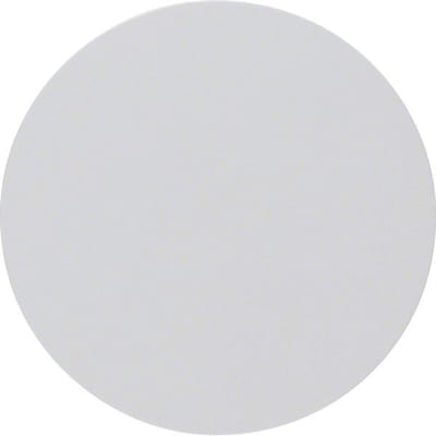 Hager Berker R.1/R.3 Schakelelement/Centrale Plaat - 16202089