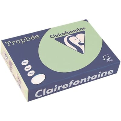 Clairefontaine Trophée gekleurd papier, A4, 80 g, 500 vel, natuurgroen