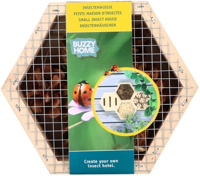 Bûten Home Insectenkast Hexagon Lieveheersbeestjes -