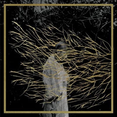 Forest Swords - Engravings: 2025 Edition (CD)