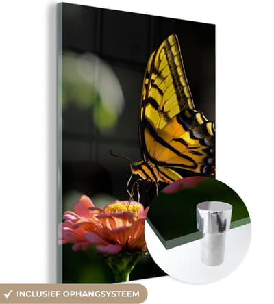 MuchoWow® Glasschilderij 30x40 cm - Schilderij acrylglas - Vlinder - Botanisch - Bloem - Foto op glas - Schilderijen
