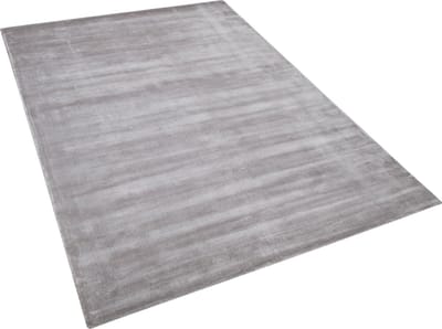GESI II - Laagpolig vloerkleed - Lichtgrijs - 160 x 230 cm - Viscose