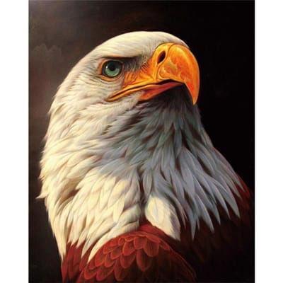5D Diamond schilderij Eagle kruissteek diamant borduurwerk 20X30CM