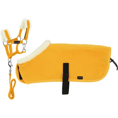 Halsband en longe + deken Equithème