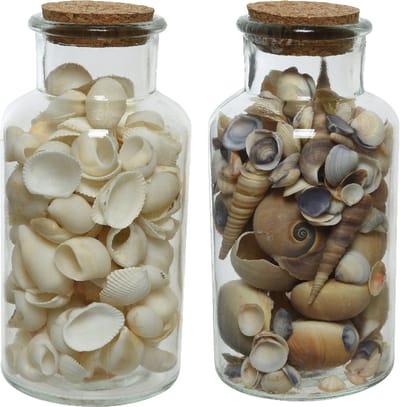 Deco schelpen in glazen pot - 2x stuks - D8 x H16 cm - bruin/wit