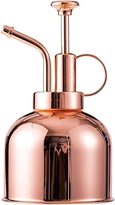 Roestvrijstalen Gieter - Kleine Water Verstuiver - Planten Verzorgen - Fijne Metalen Pomp - 300ml Capaciteit - Rosé Goud