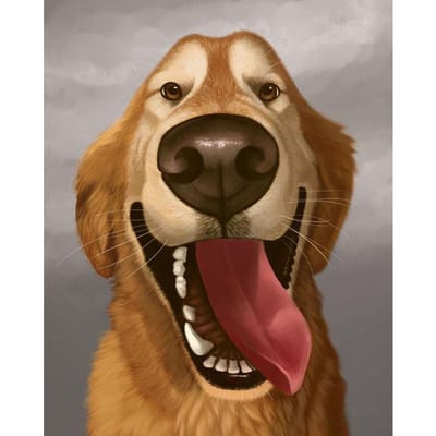 Peinture Diamant 5D DIY  chien heureux  Broderie Diamant Rond / Carré Point de Croix Mosaïque Diamant Peinture Décoration Cadeau Full Round (20X30CM)