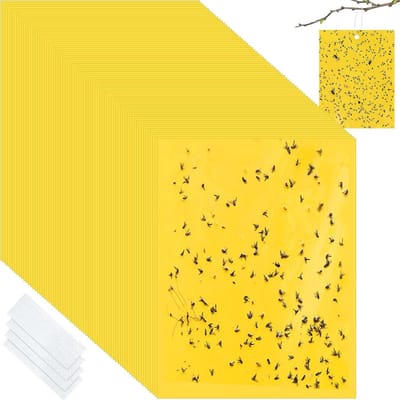 Dailygoods - Gele Stickers voor Rouwmuggen Bestrijden - 50 Stuks Vliegenval voor Binnen en Buiten