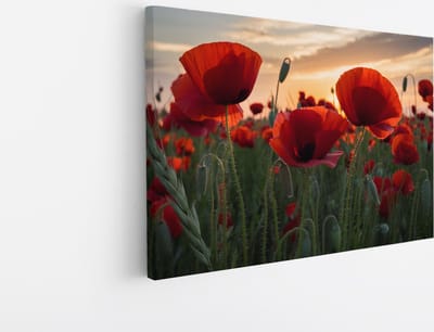 Saammp Canvas Schilderij - Klaprozen - Natuur - Landschap - 45x30 - Foto op canvas - Wanddecoratie - Muurdecoratie Woonkamer - Slaapkamer decoratie - Canvas Print