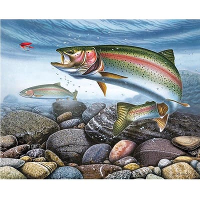 Peinture diamant 5D à faire soi-même, point de croix, poisson sous-marin, mosaïque, broderie, couture 50X70CM