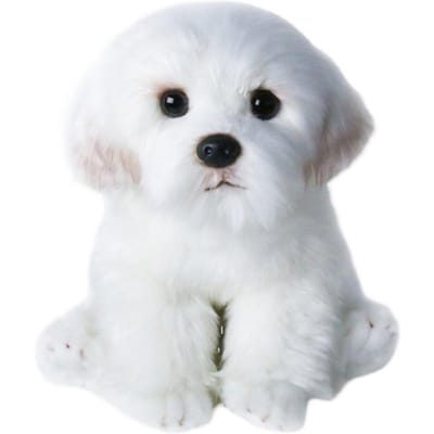 Maten Maltese Knuffelhond Pluche Speelgoed Schattige Simulatie Huisdieren Pluizige Babypoppen Verjaardagscadeaus Voor Kinderen Bichon Frise Puppy Cadeau 26cm