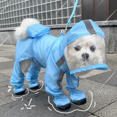 Tractie Puppy Vierpotige Regenjas Waterdicht Allesomvattend Kleine Hond Met Poten Grote Beer Teddy Huisdier Regenachtige Dag Hondenkleding (blue,S)