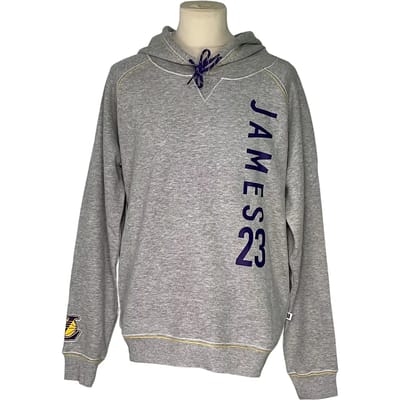 Hoodie Los Angeles Lakers Lebron James Master Piece