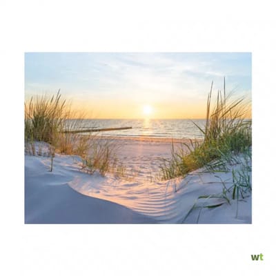 Poster Helmgras ondergaande zon 80x 60 cm