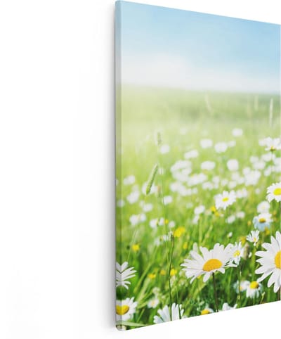 Artaza Canvas Schilderij Bloemenweide - 20x30 cm - Klein - Muurdecoratie Madeliefjes - Wanddecoratie Lente - Kamer Accessoires