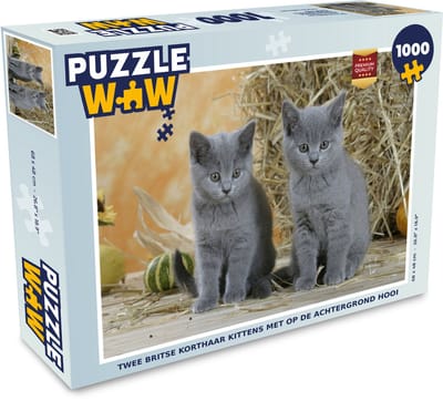 Puzzel Twee Britse korthaar kittens met op de achtergrond hooi - Legpuzzel - Puzzel 1000 stukjes volwassenen
