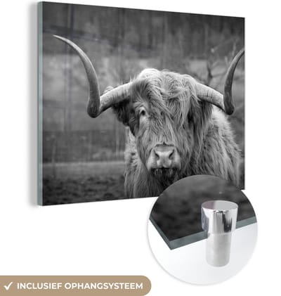 MuchoWow® Glasschilderij 160x120 cm - Schilderij acrylglas - Schotse Hooglander - Koeienkop - Landschap - Natuur - Koe - Foto op glas - Schilderijen