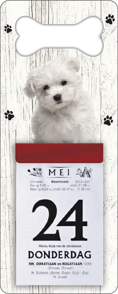 Scheurkalender 2027 Hond: Malteser