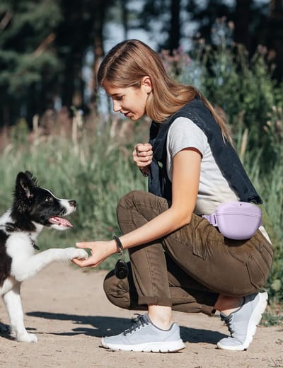 Honden Snack Tas met Trainingsklikker, Sterke Magnetische Sluiting, Silicone Heuptas voor Dieren Training en Wandelen