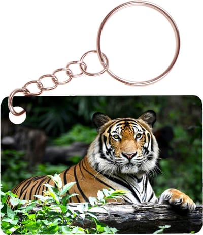 Sleutelhanger 6x4cm - Tijger - Op Boomstam Liggend