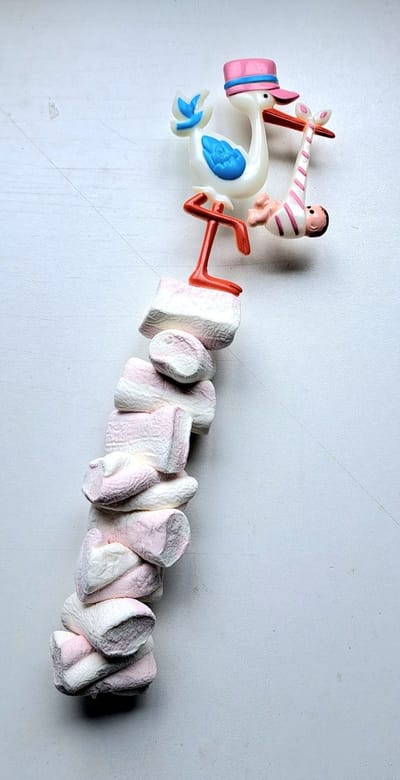 20 spek spiezen roze met ooievaar voor geboorte babyshower doop doopsuiker snoepsate spekken spekkensnoep uitdeel-spekken traktatie