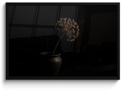 Poster in lijst - Fotolijst 90x60 cm - Posters - Bol - Gedroogd - Vaas - Zwart - Posterlijst zwart - Decoratie - Wanddecoratie woonkamer - Muurdecoratie slaapkamer