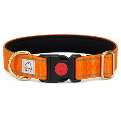 Honden Halsband - Reflecterende Stiksels - Nylon Halsband Hond - Hondenhalsband - Maat S - Oranje