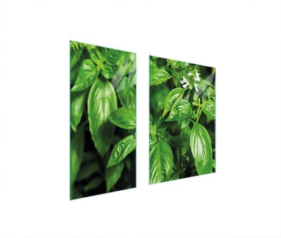 TMK ArtDeko Basilicum Serie - Glazen Beschermer - 75x52 cm - Veilig en Modern