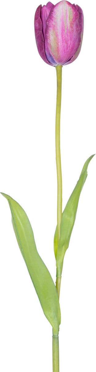 Easyplants | Kunstbloem Franse Tulp 60 cm paars | Zijde | Nepbloemen | paars | Onderhoudsvrij | Kant-en-klaar