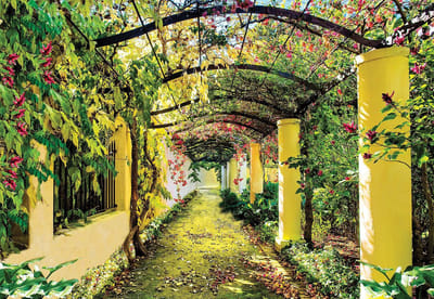 Fotobehang Flowers Floral Garden | XL - 208cm x 146cm | 130g/m2 Vlies