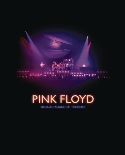 Delicate Sound Of Thunder