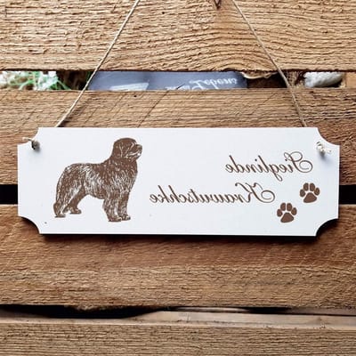 Hond Naambord - Decoratiebord Deurplaat - Huis Decoreren - Persoonlijke Gravure - 20 x 67 cm - Wit