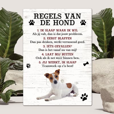 Spreuken - Jack Russel - Regels Van De Hond - Spreuken Bordjes - Spreukenbord - Tekstborden - Cadeau - Hondenras