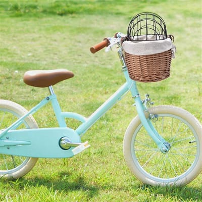 Fietsmand Hond - Wicker Mand - Huisdier Vervoer - Met Ijzeren Frame - 30x25x30 cm - Bruin
