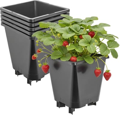 Garronda Set van 5 kunststof bloempotten met poten voor aardbeien en frambozen (Zwart, 19,5 x 19,5 x 21 cm – 5 L) GD-KW-F