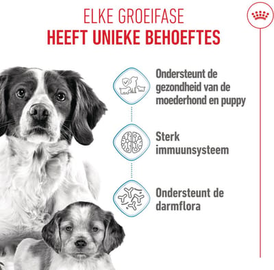 Royal Canin - Hondenvoer Droog Mother & Baby Medium Starter - 1 kg