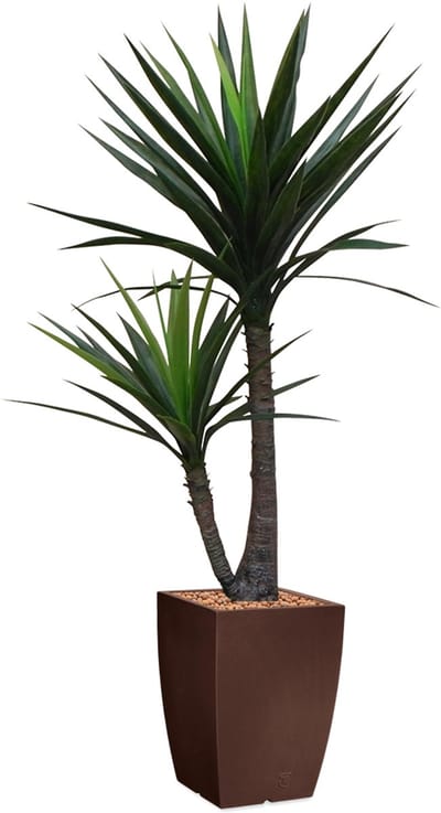 HTT - Kunstplant Yucca in Genesis vierkant bruin H150 cm