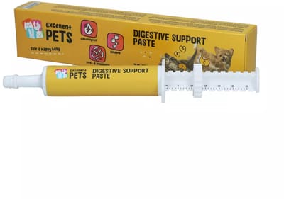 Excellent Pets Spijsverteringsondersteuningspasta voor Honden - 30 ml Tube voor Gezondheidsvoorzieningen