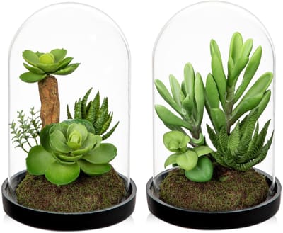 Dailygoods- Kunstmatige Vetplanten Levensecht - Glazen Fles - Groene Planten - Woondecoratie - Decoratief - Uniek Arrangement - Nepplant