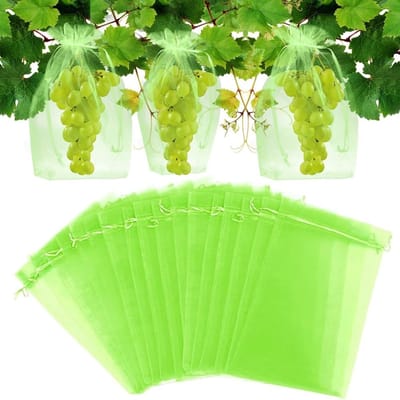 Dailygoods- Druiven Beschermzak 60 Stuks - Fruit Beschermzak - Organza Zak 20x30cm - Tuin Gaas Zak - Bescherming Tegen Insecten - Gezonde Oogst - Fruitbeschermzak