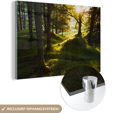® Glasschilderij 180x120 cm - Schilderij acrylglas - Doorbrekende zon in de bossen van het Nationaal park Peak District - Foto op glas - Muurdecoratie woonkamer - Wanddecoratie slaapkamer - Schilderijen