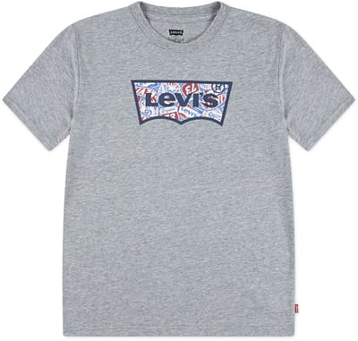 Levi´s ® Kids On The Road Batwing T-shirt Met Korte Mouwen Grijs 14 Years Jongen