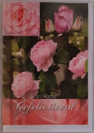 Van harte gefeliciteerd! Een bijzondere kaart met mooie bloemen in een felle kleur. Een leuke kaart om zo te geven of om bij een cadeau te voegen. Een dubbele wenskaart inclusief envelop en in folie verpakt.