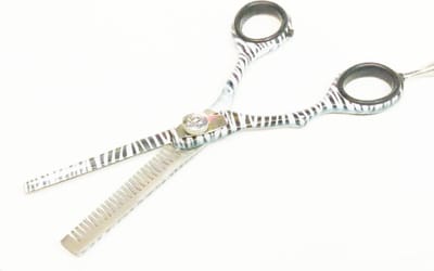 Guardian Beauty Schaar - 5,5 Inch - Japans Roestvrij Staal - Uitdunschaar - Linkshandige - Kappersgereedschap