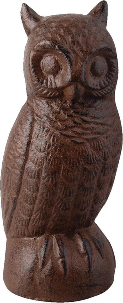 Uil groot gietijzer